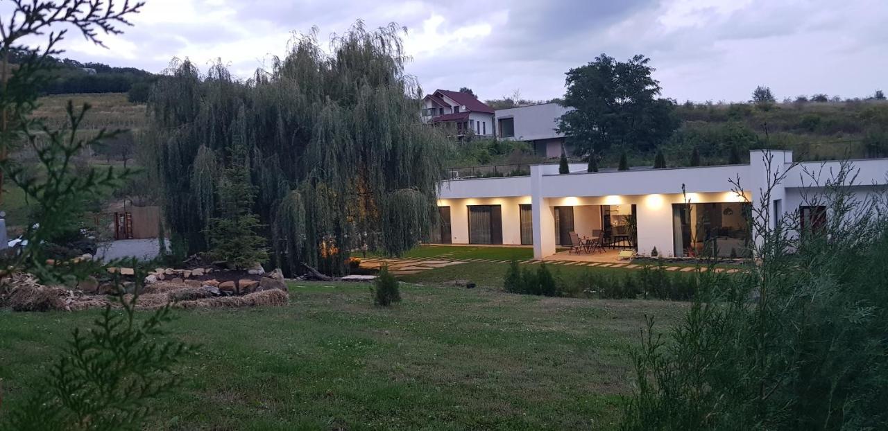 La Salcia Din Padure Apartment Alba Iulia Exterior photo